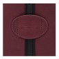 LONGCHAMP LE SLOUCHY CUIR SAC BANDOULIÈRE S GRENADE